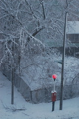 Snow storm 1.12.2011