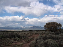 2004 New Mexico