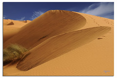 Desert - Deserto