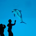20110115 Nagoya Aquarium 1 (Hi!!!)