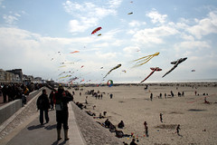 Rencontres Internationales de Cerfs-Volants de Berck sur mer 2008