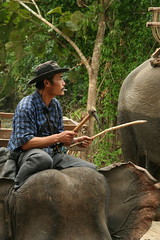 2007-11 Thailand- Umphang