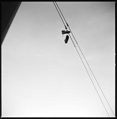 photos of shoes hanging from wires