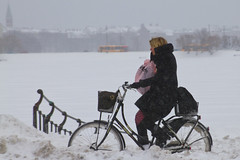 Snowstorm Headwind Mobile Chat - Winter Cycling in Copenhagen