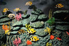 Coral Reef Ecosystem