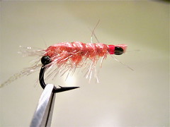 Wintersteelheadcocktailshrimp