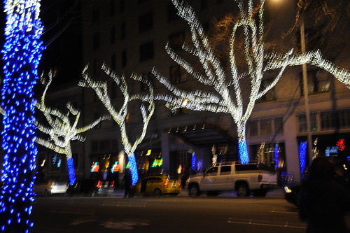 Hoochie Coochie Man - Muddy Waters, Blue lights bare Christmas tree Seattle Washington USA by Wonderlane