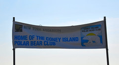 Coney Island Polar Bear Club New Years Day 2011