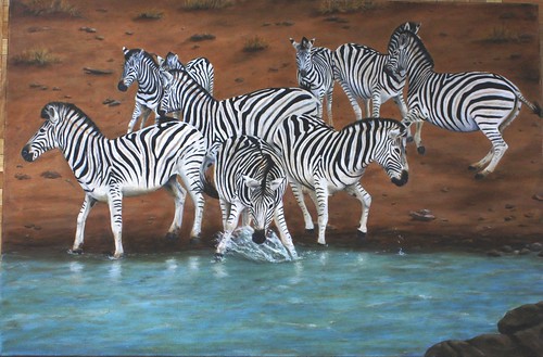 Zebras by Sid's art