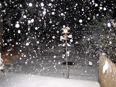 Snowfall Dec 26, 2010