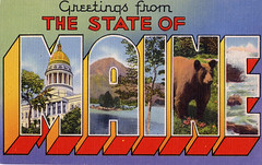 Maine Large Letter Postcards