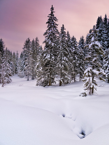 Austria - Gosau: Winter Dreamland par John &amp; Tina Reid