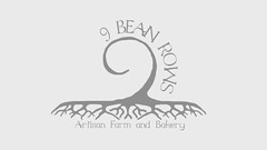 9 Bean Rows top pix