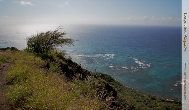 Diamond Head State Monument vista (Hawaii)