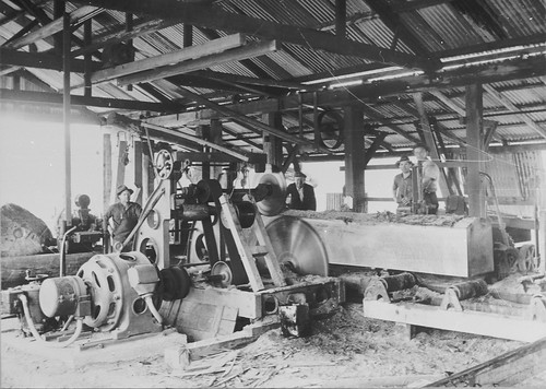 Unidentified sawmill, [NSW, n.d.]