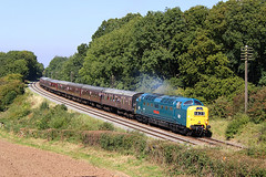 UK Railways - Class 55