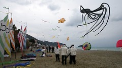 festival del vento, spotorno, 12-3-2011