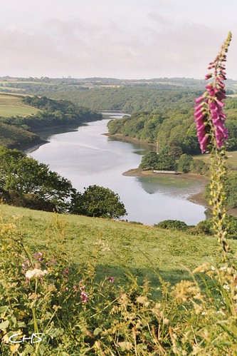 Spring on the Helford River, Cornwall by Stocker Images
