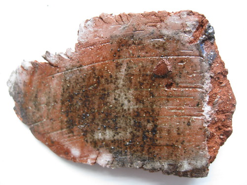 Paleolithic Tool Closeup