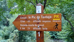 Le Pic de Tantajo, Bédarieux (rando)