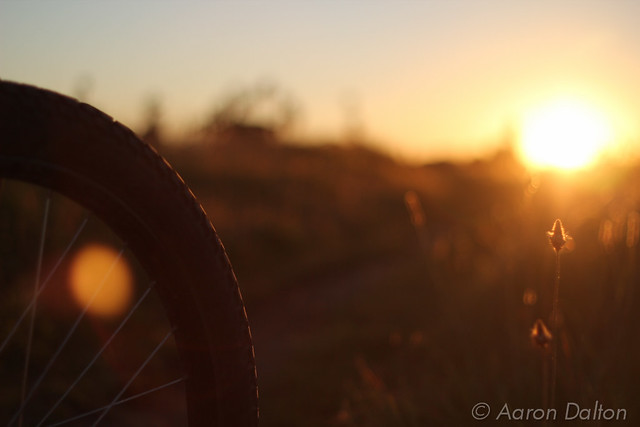 Bike Tire Facing the Sun