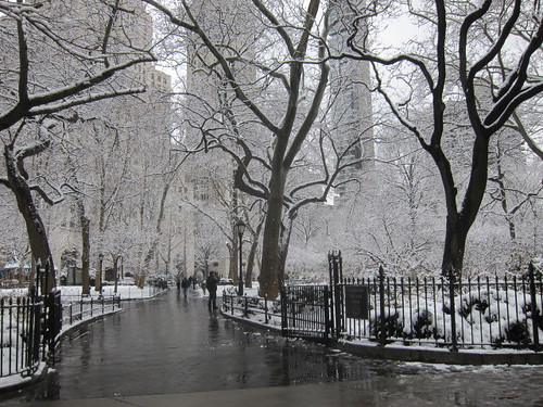 Madison Square Park under the snow, NYC. Nueva York