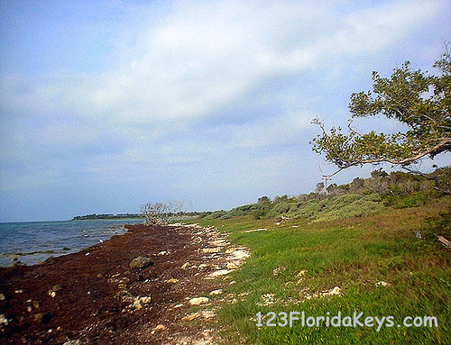 Bahia Honda State Park - Florida Keys by Key West Baseball