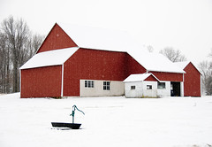 Bucks County Farms/Barns