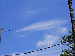Feather in the Sky