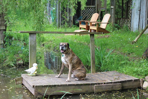 Chillin' By the Pond - Silver