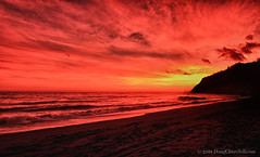 d/169 • y/03 • Sunset @ USAL Beach • 18 Jun 11