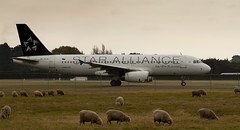 Aviation - Airline alliances