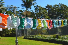 cloth nappies (diapers) on the line