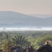 See Genezareth am Morgen mit Klippdachs beim Sonnenbad