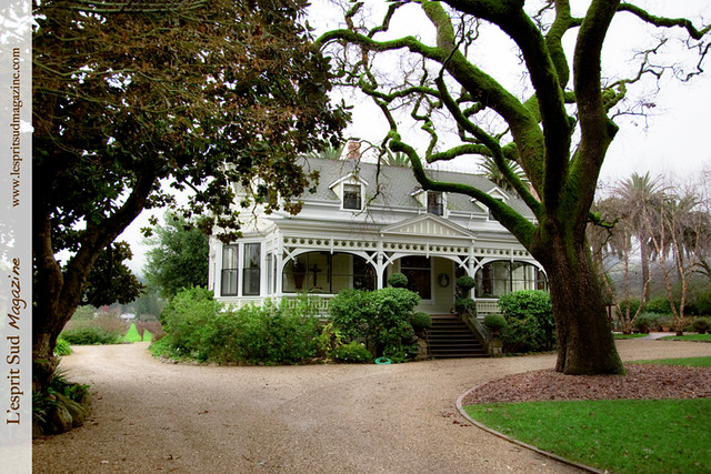Spottswoode Estate  (St Helena, CA)