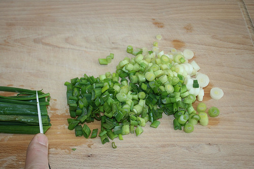 10 - Frühlingszwiebeln schneiden / Cut spring onions