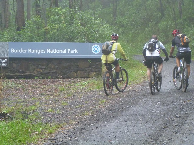 Border Ranges National Park