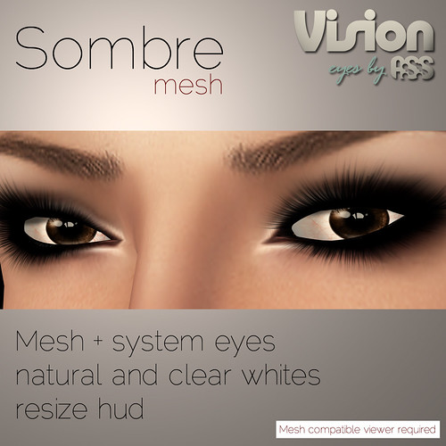 Sombre mesh eyes, 80L - Vision by A:S:S