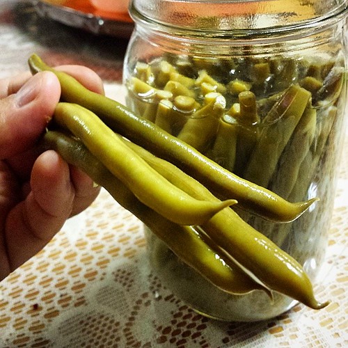 These Lacto-Fermented Green Beans