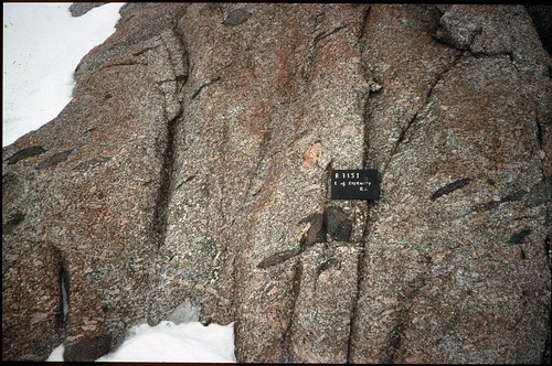 Eternity Range Permian megacrystic granite with mafic enclaves