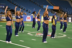 Tampa Bay Storm Dancers 2011