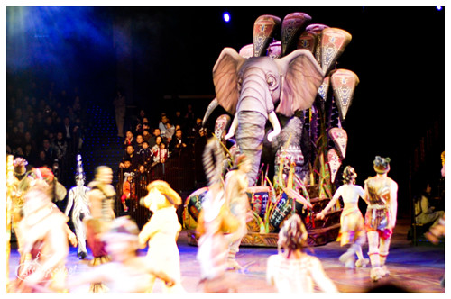 festival of the lion king elephant