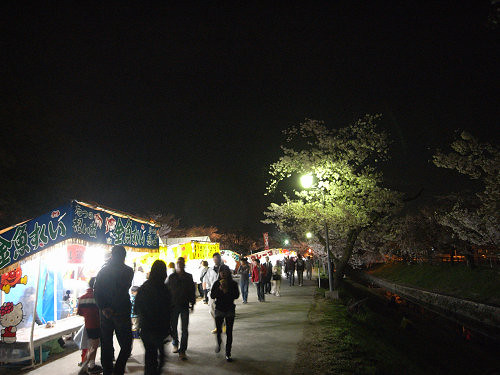 夜桜2012＠大中公園（大和高田市）-01