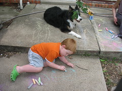 Chalk Drawing with Jake & Robbie & Sparky & Molly