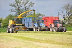 Silage & Maize 2014