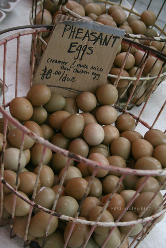 Pheasant Eggs