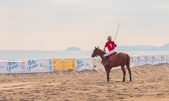 Pietra Polo Beach Cup 2016