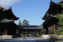Kyoto Myoshinji