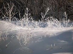 Frost and Lighting