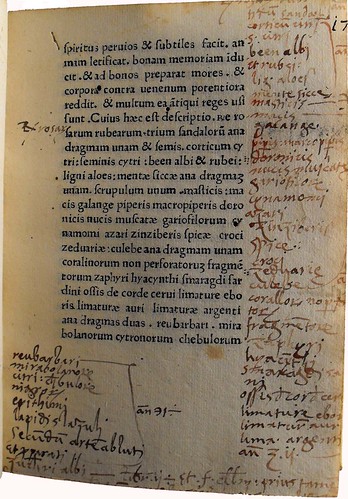 Annotations in red ink in Benedictus de Nursia: De conservatione sanitatis